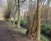 DSC04159.JPG