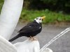 DSC01702.JPG