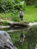 DSCN1222.JPG