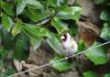 DSC04404.JPG
