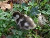 DSC05619.JPG