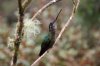 k-IMG_4495.JPG