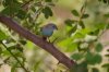 k-IMG_7024.JPG
