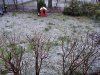 schnee1.jpg