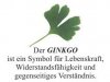 Ginkgoblatt_klein.jpg