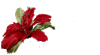 Geburtstags_Blüte.gif Geburtstags_Blüte.gif