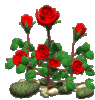 Rosen_.gif Rosen_.gif