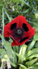 63B7F803-4E32-4F34-9C64-E7CFF336D621.png 63B7F803-4E32-4F34-9C64-E7CFF336D621.png