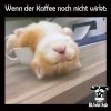 kaffee.jpg