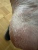 image2.jpeg
