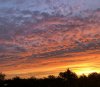 IMG_0762.jpeg