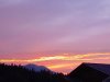 20220728_204617.jpg 20220728_204617.jpg