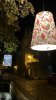 IMG_2984.jpeg IMG_2984.jpeg