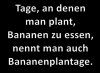IMG_5658.jpeg