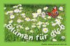 Blumenwiese.jpg