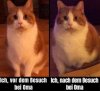 Vor_und_nach_Oma.jpg