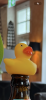 IMG_1158.png