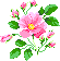 Rose_rosa.gif Rose_rosa.gif