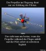 FB_IMG_1715287417918.jpg