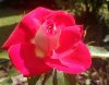 IMG_8893.jpeg
