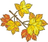 blatt-gold.gif