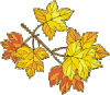 blatt-gold.gif blatt-gold.gif
