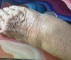 IMG_5696.jpeg
