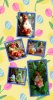 InCollage_20250420_145614700.jpg
