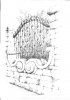 Mauer mit Schmiedeeisen.jpg