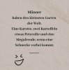 FB_IMG_1746379817871.jpg