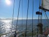 20250508_173936.jpg