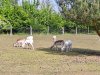 20250510_154516.jpg