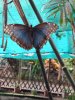 20250514_095635.jpg