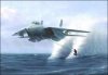 flugzeugsurfen.jpg