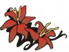 blume1.jpg