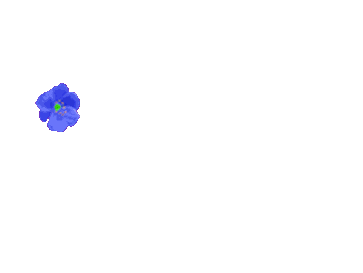 blum020.gif