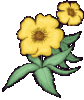 blume, zwei gelbe.gif