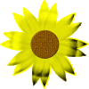 sonnenblume, holz.gif