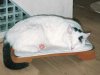 katzenofen.jpg