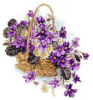 blumenkorb1.gif
