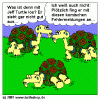 turtle-fehlermeldung.gif