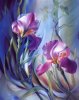 blume, lila orchideen.jpg