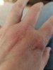 Hand.jpg