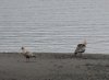 DSC07221.JPG