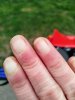IMG_20250325_182052.jpg