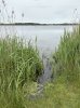 Flögeln 2.jpg