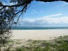 1DSCF0021.JPG