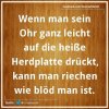 bloed.jpg
