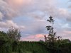 20250720_212912.jpg