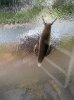 Schnecke am Fenster.jpg